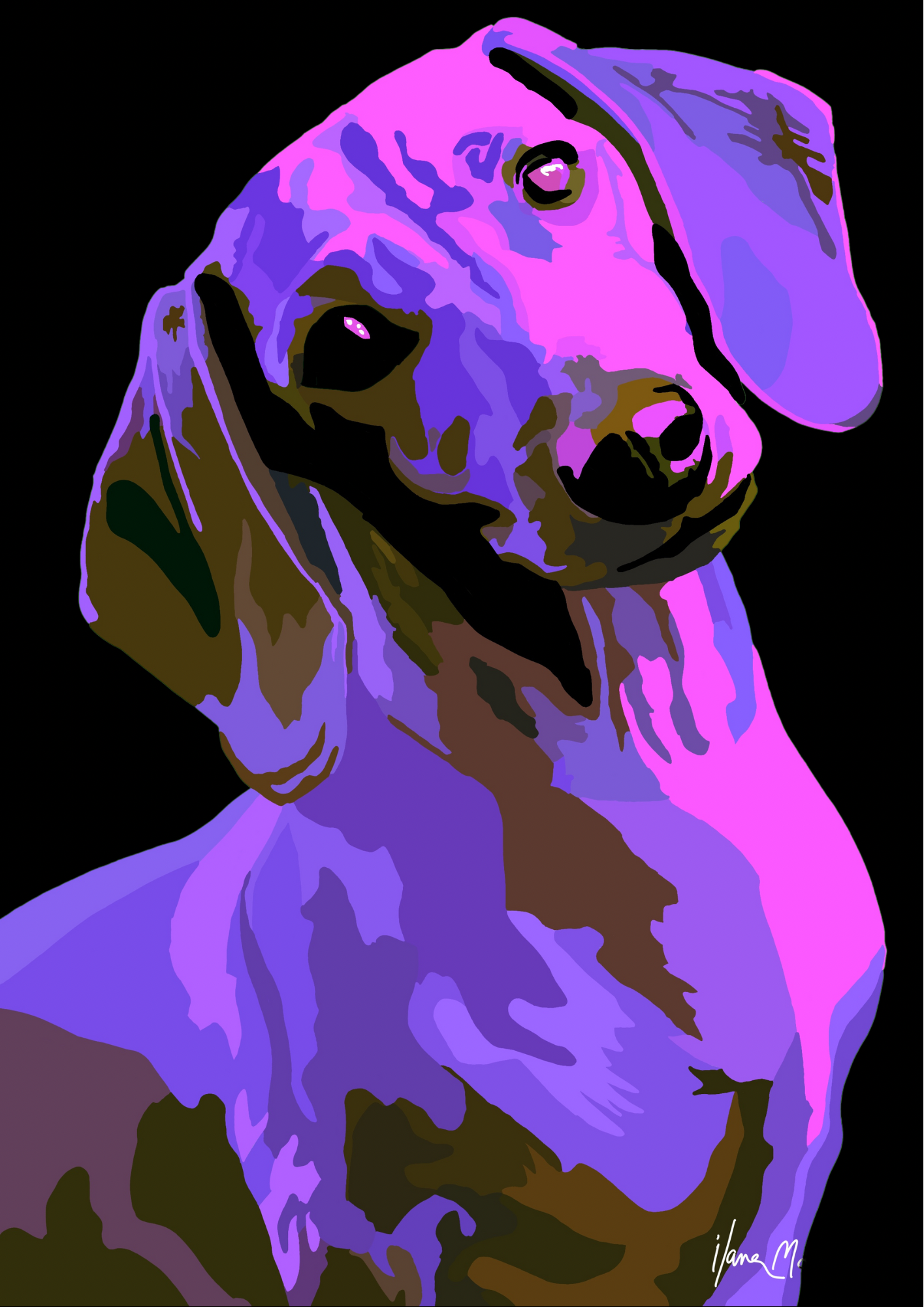 An intricately designed digital art print featuring dachshund noir lavender, with lavender, pink and violet shades, in black background.