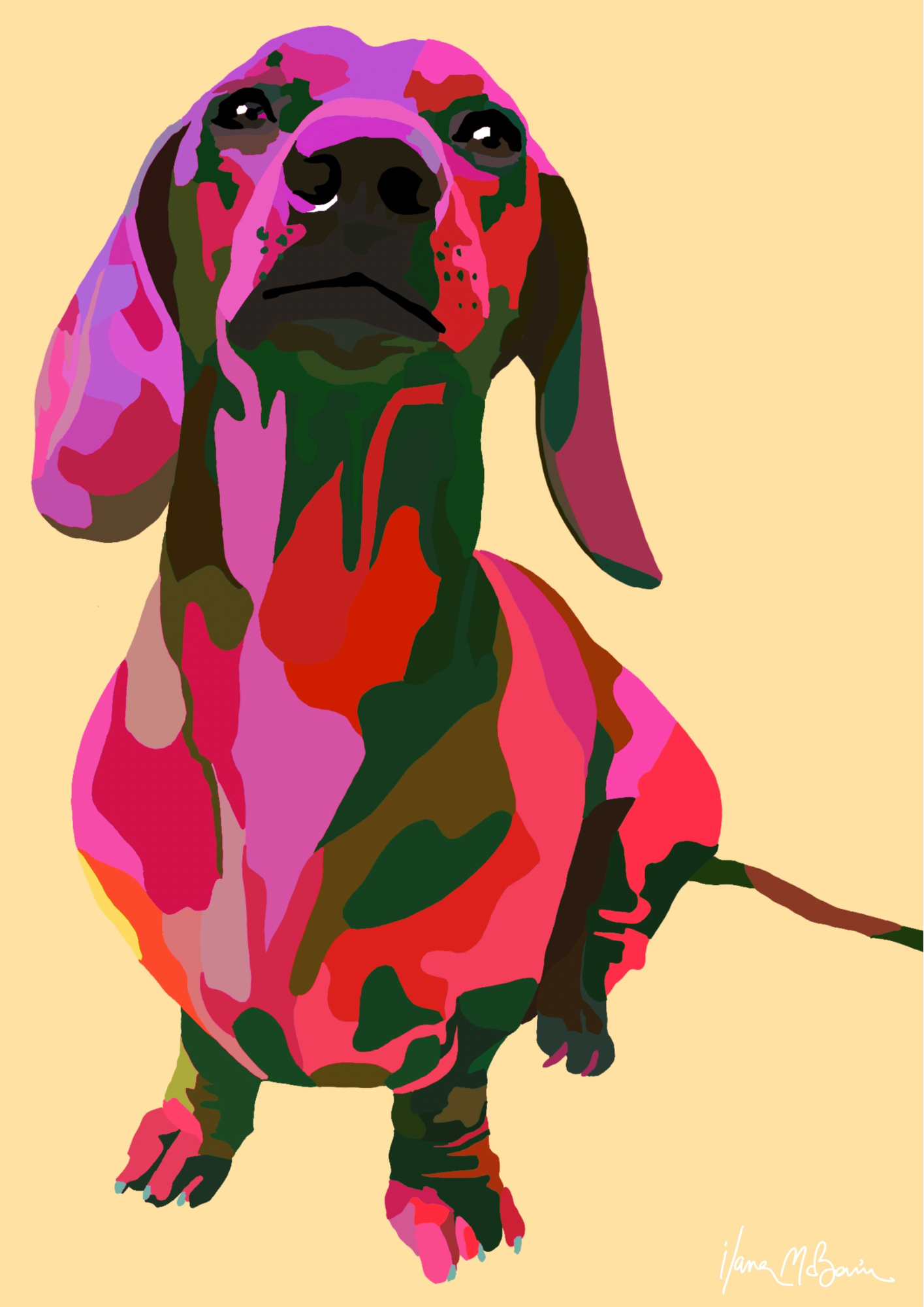 1. An intricately designed digital art print featuring a whimsical dachshund in sand background.