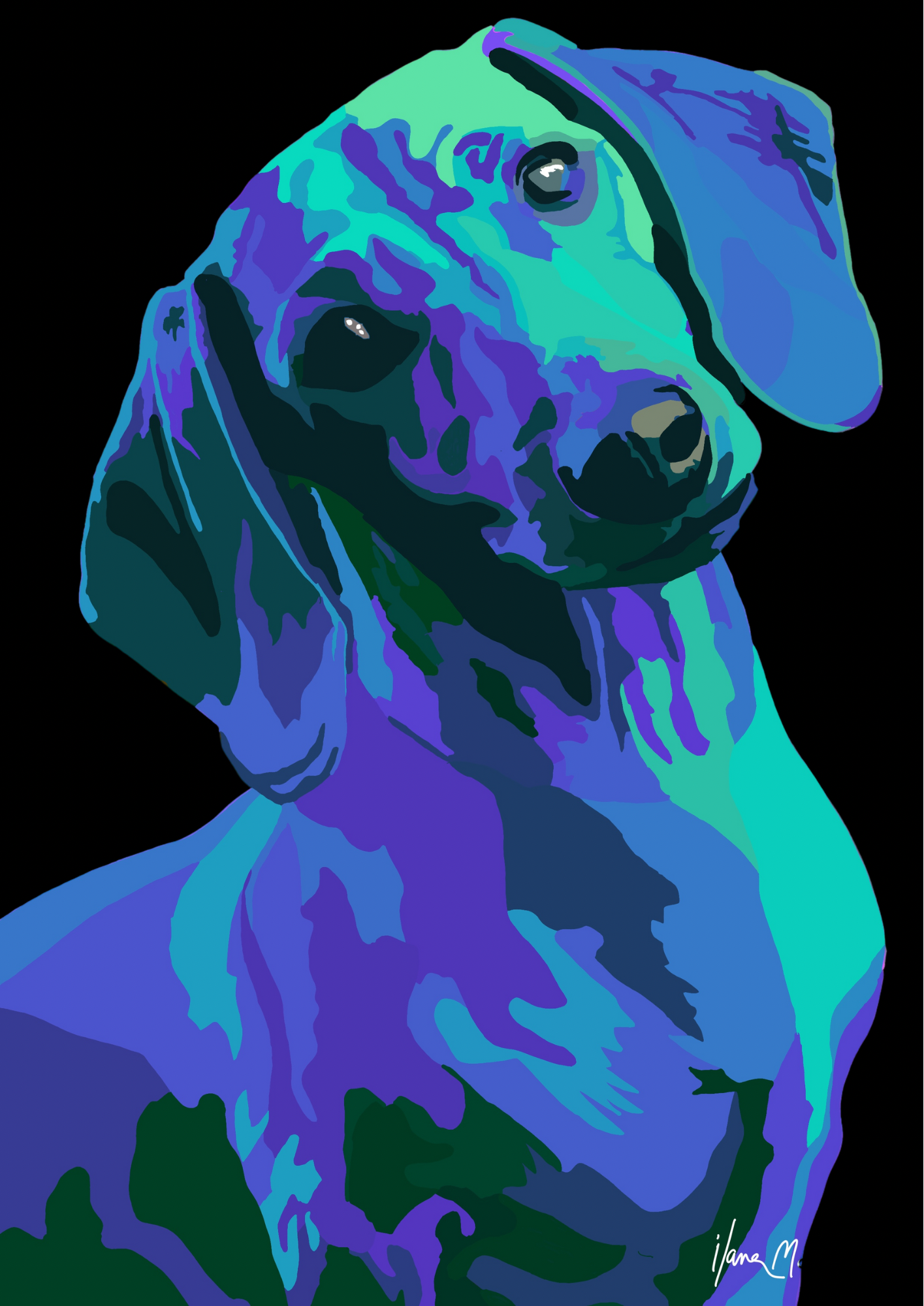 An intricately designed digital art print featuring dachshund noir blue, green and violet shades, in black background.