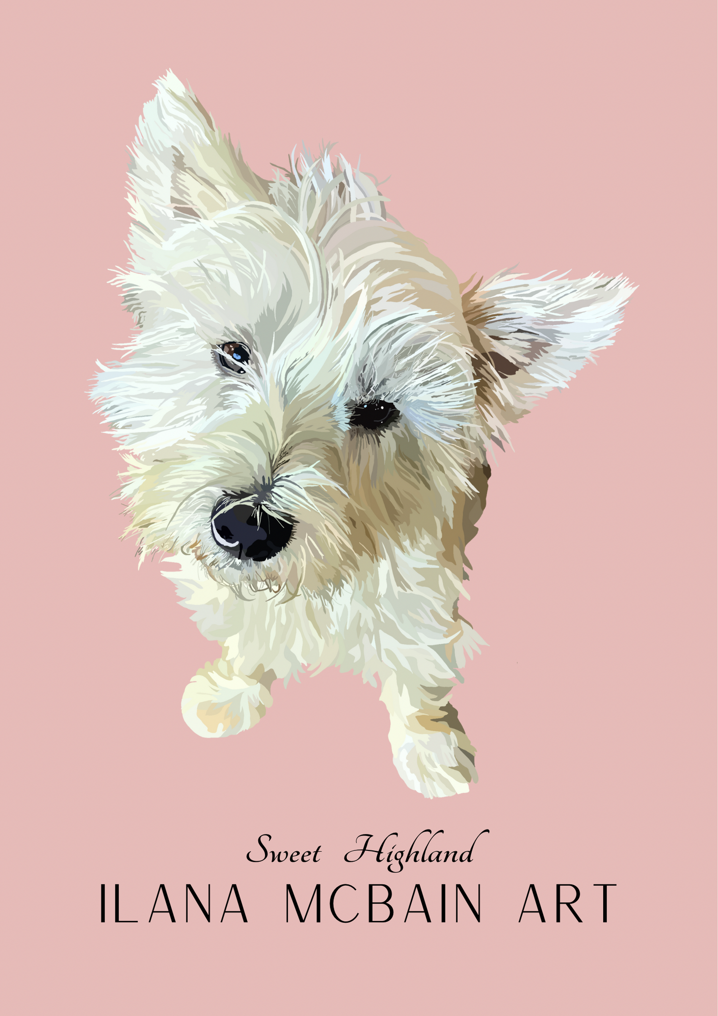 Modern art poster of an adorable West Highland Terrier, by renowned artist Ilana McBain, set against a serene rose background.