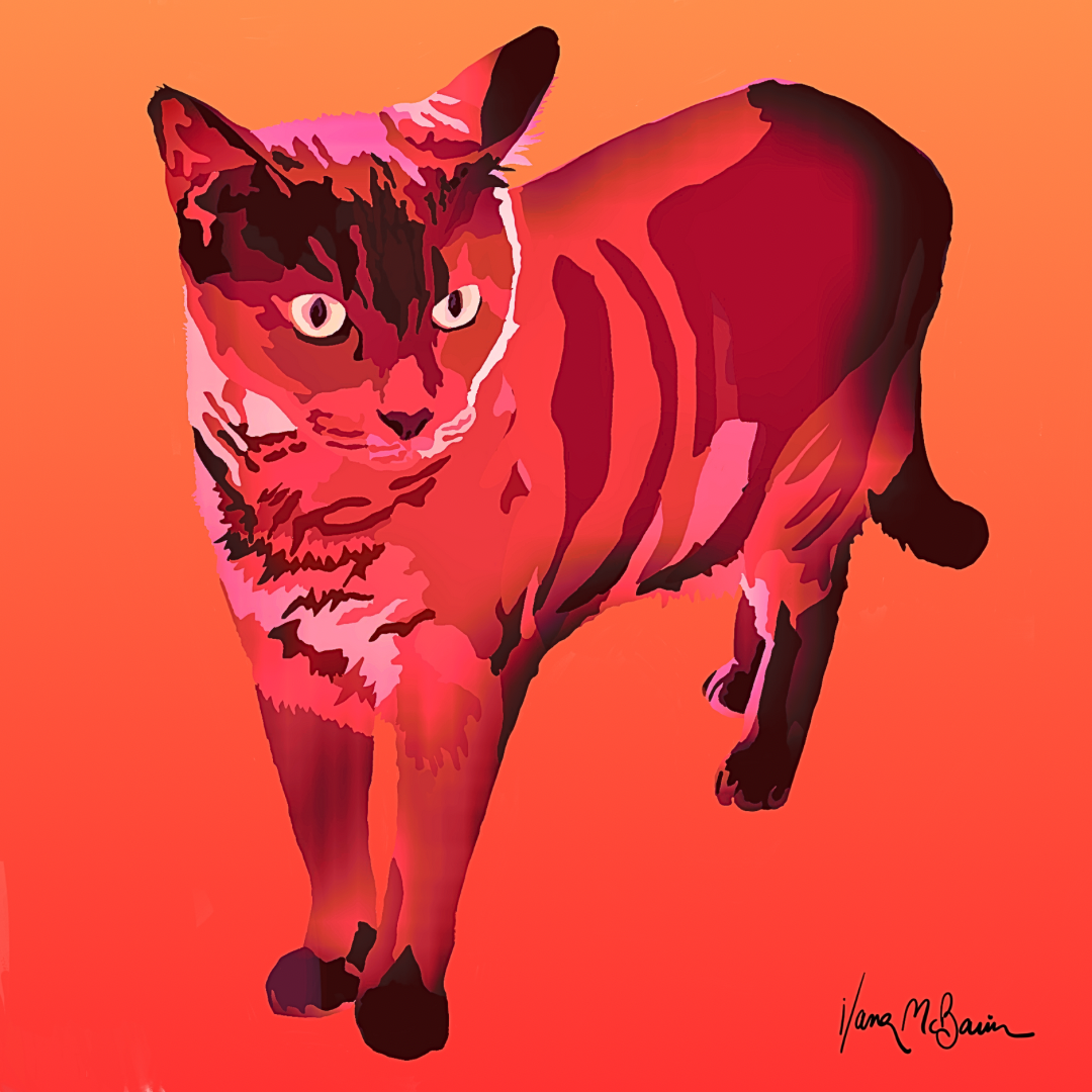 A contemporary pop art portrait of a Siamese cat, adding a vibrant splash of warm red and orange.