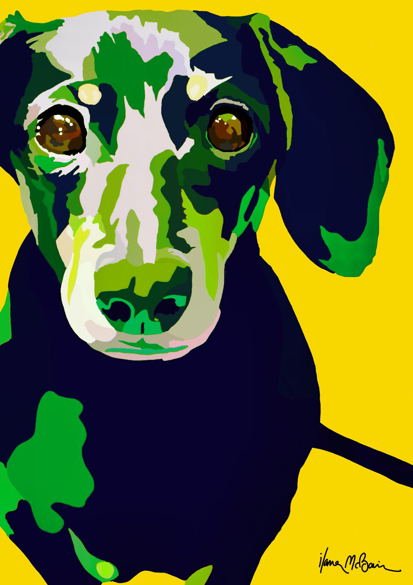 An intricately designed digital art print featuring a lovable dachshund in yellow background.