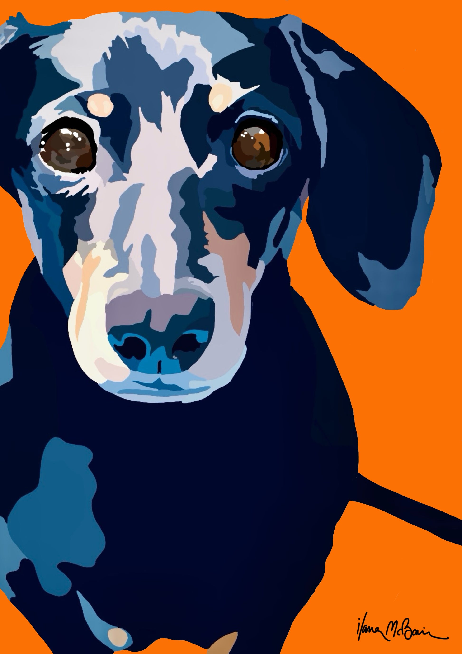 An intricately designed digital art print featuring a lovable dachshund in orange background.